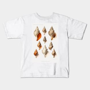 Molluscs of the Northern Seas - Vintage Scientific Illustrations Kids T-Shirt